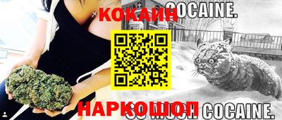 герыч Гагарин