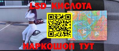 стафф Гатчина