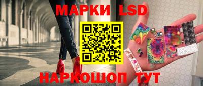 стафф Гатчина