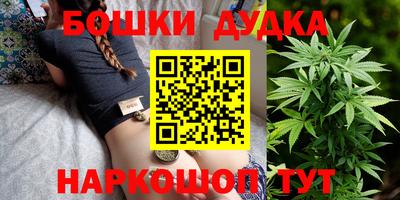 стафф Гатчина