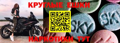 стафф Гатчина