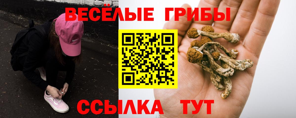 Галлюциногенные грибы прущие грибы  закладка  Курганинск  Вход с VPN 